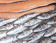 Βιομηχανίες Ιχθύων