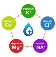 Clinical Chemistry